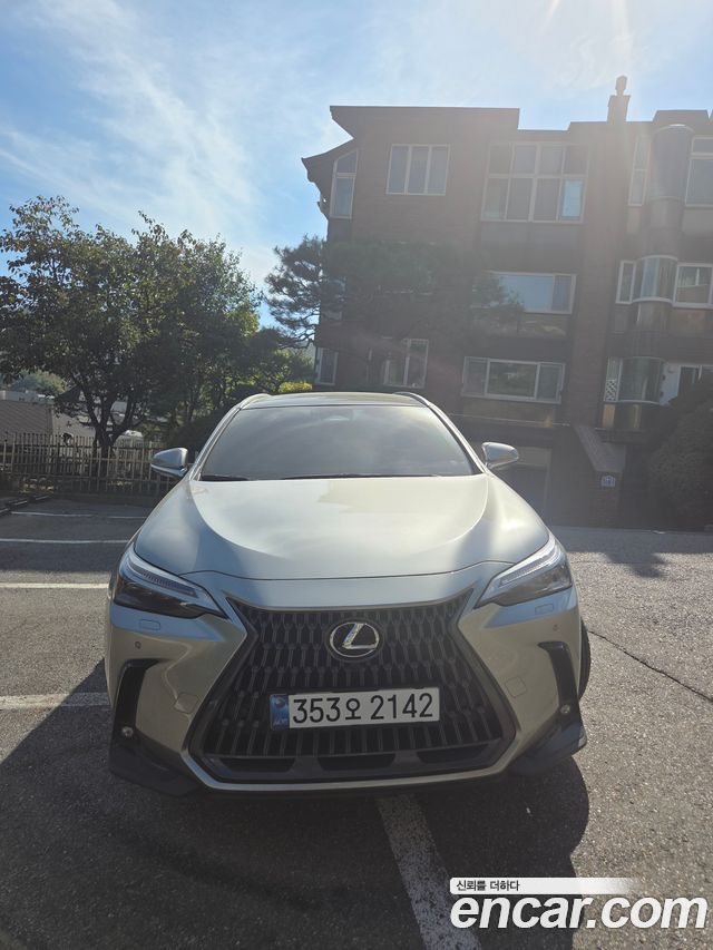 Lexus NX Luxury — пробег 15 780 км — фото 3 из 5