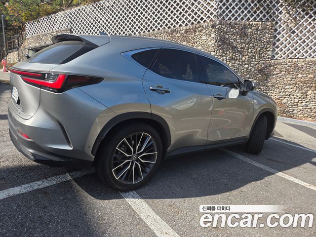 Lexus NX Luxury — пробег 15 780 км — фото 5 из 5