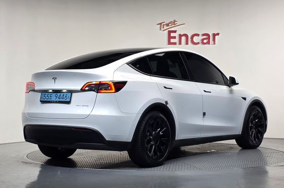 Tesla Model Y Long Range AWD — пробег 74 291 км — фото 2 из 5