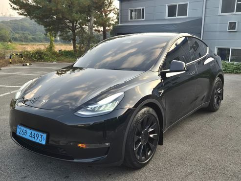 Tesla Model Y Long Range AWD — пробег 101 711 км — фото 1 из 5