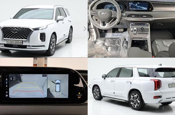 Hyundai Palisade Gasoline 3.8 2WD Calligraphy — пробег 115 925 км — фото 1 из 3