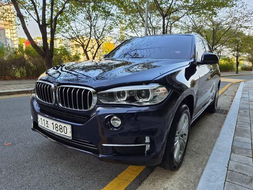 BMW X5 xDrive 30d — пробег 200 000 км — фото 1 из 5