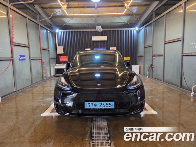 Tesla Model Y Performance AWD — пробег 74 400 км — фото 1 из 5