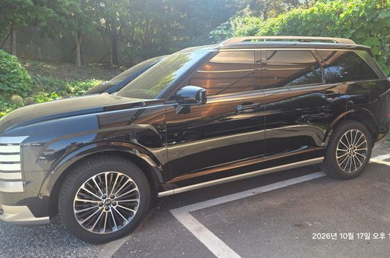 Hyundai Palisade HEV 2.5T 4WD 9-Seater Calligraphy — пробег 29 000 км — фото 4 из 5