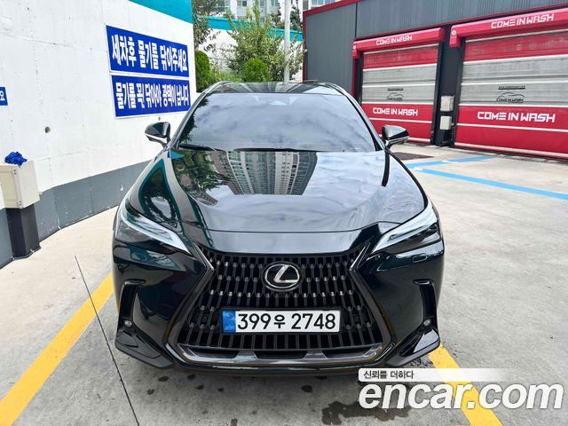 Lexus NX Luxury — пробег 3 300 км — фото 1 из 5