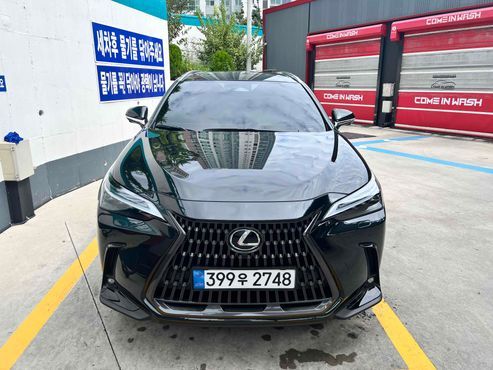 Lexus NX Luxury — пробег 3 300 км — фото 1 из 5