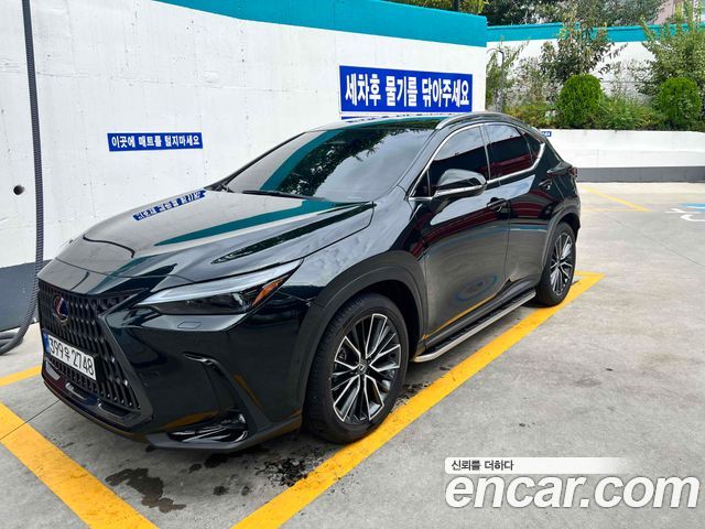 Lexus NX Luxury — пробег 3 300 км — фото 2 из 5