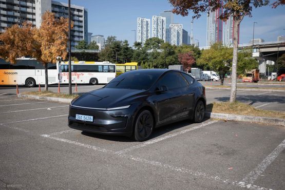 Tesla Model Y Premium RWD — пробег 1 000 км — фото 3 из 5