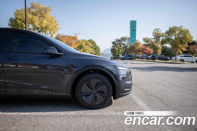 Tesla Model Y Premium RWD — пробег 1 000 км — фото 4 из 5