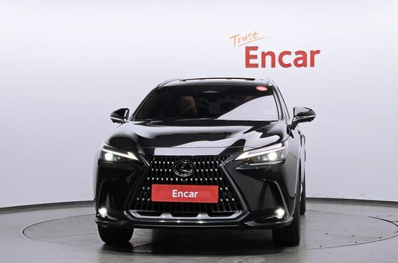 Lexus NX Premium — пробег 30 622 км — фото 3 из 5