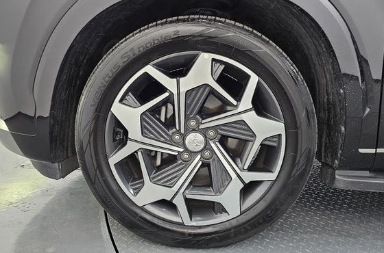 Hyundai Palisade Diesel 2.2 2WD VIP — пробег 72 639 км — фото 5 из 5