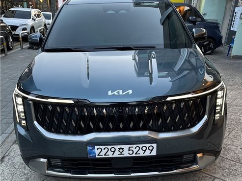 Kia Carnival 9-Seater Signature — пробег 20 000 км — фото 1 из 5