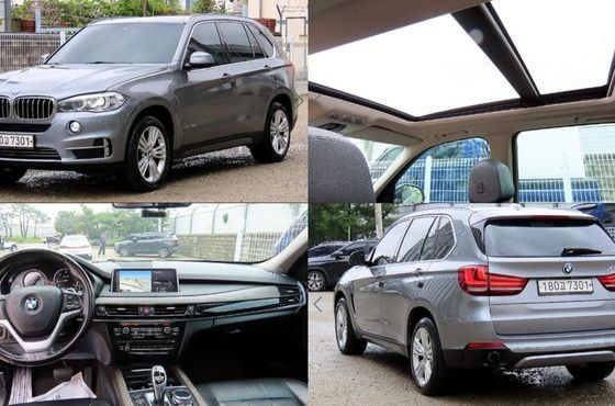 BMW X5 xDrive 30d — пробег 270 296 км — фото 1 из 5