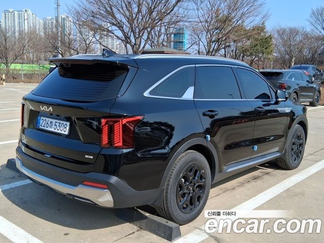 Kia Sorento HEV 1.6 2WD Noblesse — пробег 8 500 км — фото 5 из 5