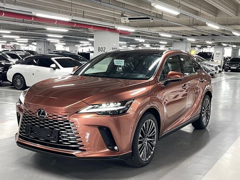 Lexus RX Luxury — пробег 9 км — фото 2 из 5