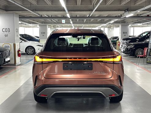 Lexus RX Luxury — пробег 9 км — фото 3 из 5
