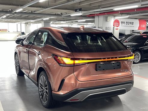 Lexus RX Luxury — пробег 9 км — фото 5 из 5