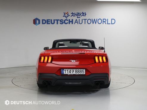 Ford Mustang 2.3 Ecoboost Premium Convertible — пробег 9 679 км — фото 4 из 5