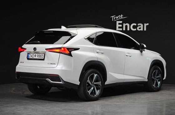 Lexus NX Supreme — пробег 74 860 км — фото 2 из 5