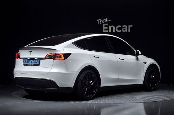 Tesla Model Y Performance AWD — пробег 95 384 км — фото 2 из 5