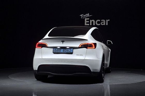 Tesla Model Y Performance AWD — пробег 95 384 км — фото 4 из 5