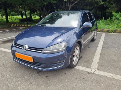 Volkswagen Golf 2.0 TDI — пробег 224 361 км — фото 3 из 5