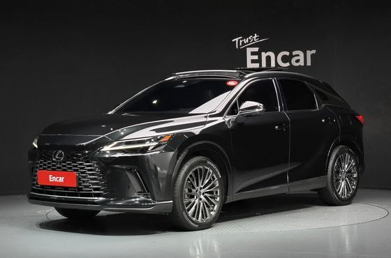 Lexus RX Luxury — пробег 42 377 км — фото 1 из 5