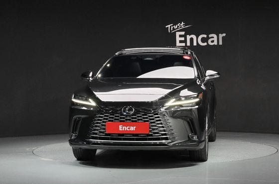Lexus RX Luxury — пробег 42 377 км — фото 3 из 5
