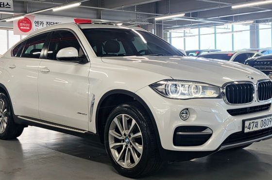 BMW X6 xDrive 30d — пробег 231 483 км — фото 4 из 5