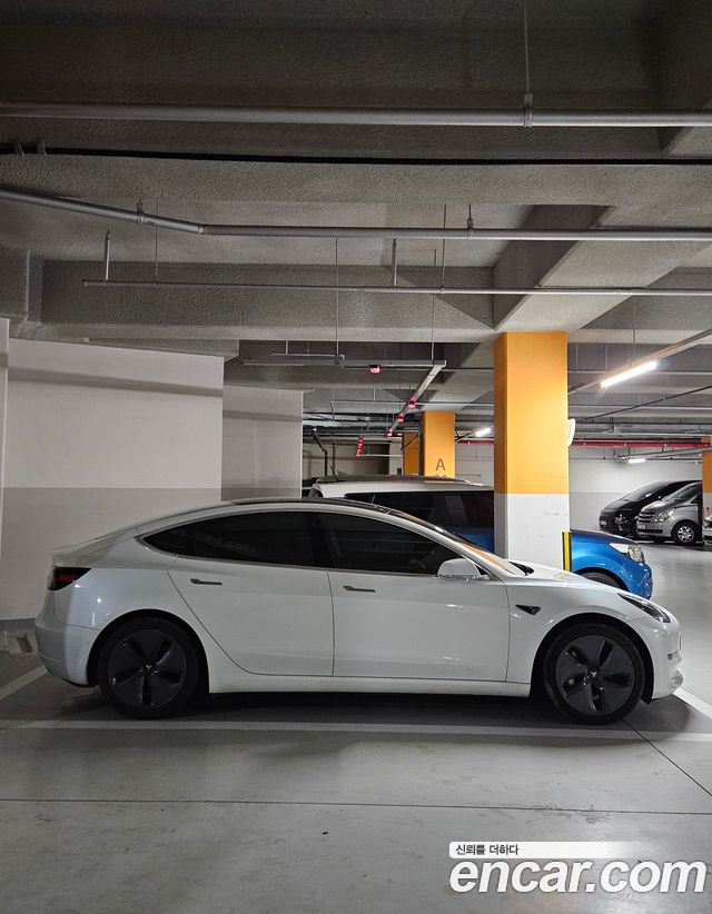 Tesla Model 3 Standard Range Plue RWD — пробег 179 000 км — фото 3 из 5
