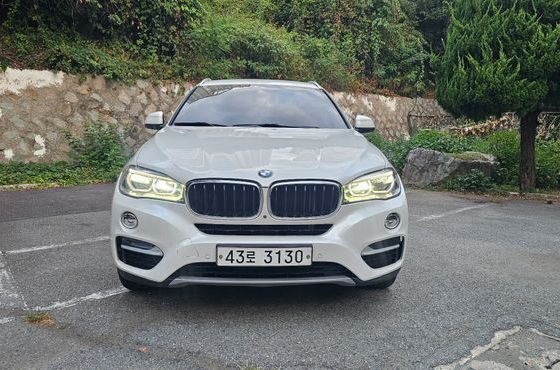 BMW X6 xDrive 30d — пробег 157 000 км — фото 1 из 5