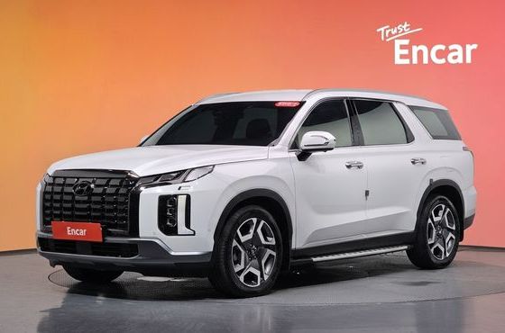Hyundai Palisade Diesel 2.2 2WD Prestige — пробег 50 534 км — фото 1 из 5