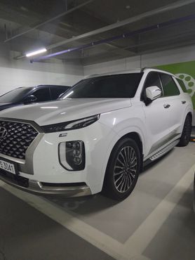 Hyundai Palisade Gasoline 3.8 4WD Calligraphy — пробег 79 014 км — фото 1 из 5