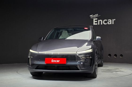 Tesla Model Y L Long Range AWD — пробег 96 км — фото 3 из 5