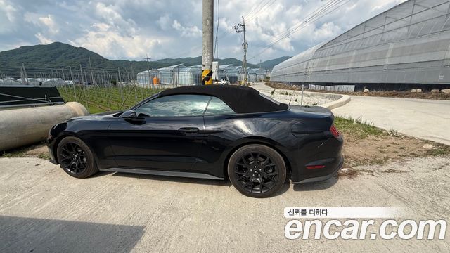 Ford Mustang Convertible — пробег 61 000 км — фото 1 из 4