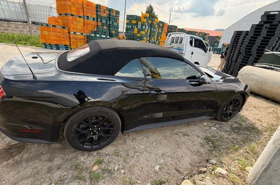 Ford Mustang Convertible — пробег 61 000 км — фото 2 из 4