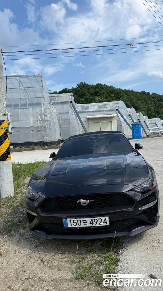 Ford Mustang Convertible — пробег 61 000 км — фото 3 из 4
