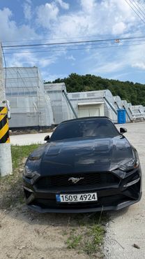 Ford Mustang Convertible — пробег 61 000 км — фото 3 из 4