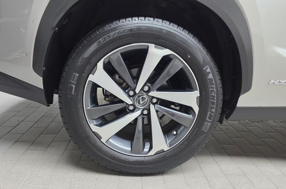 Lexus NX Executive — пробег 56 131 км — фото 5 из 5