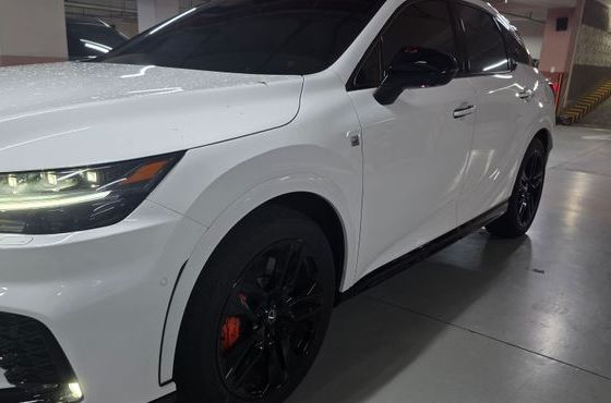 Lexus RX F-Sport — пробег 16 900 км — фото 2 из 5