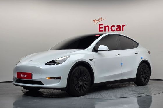 Tesla Model Y Standard Range RWD — пробег 148 468 км — фото 1 из 5