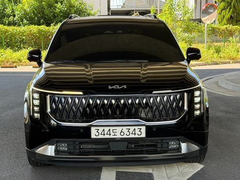 Kia Carnival HEV 9seater Signature — пробег 11 000 км — фото 1 из 5