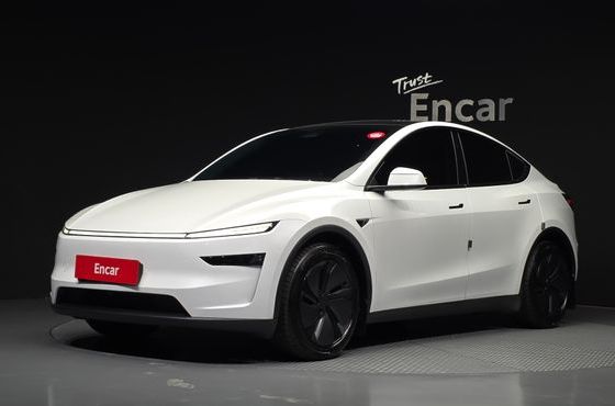 Tesla Model Y Long Range AWD — пробег 25 751 км — фото 1 из 5