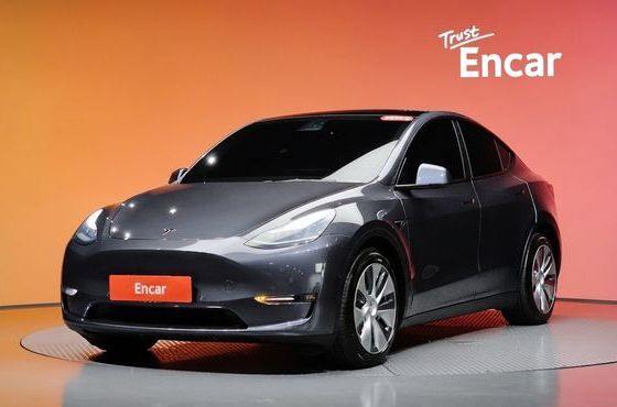 Tesla Model Y Long Range AWD — пробег 124 408 км — фото 1 из 5