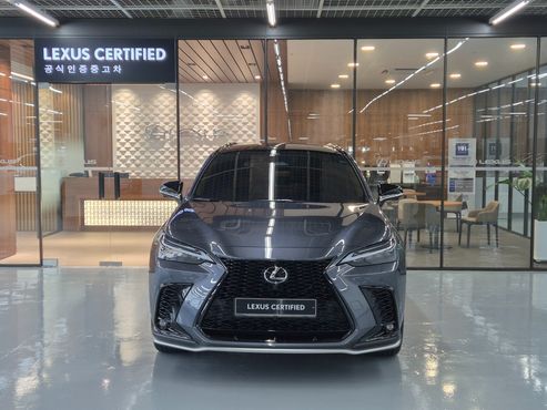 Lexus NX F-Sport — пробег 21 424 км — фото 3 из 5