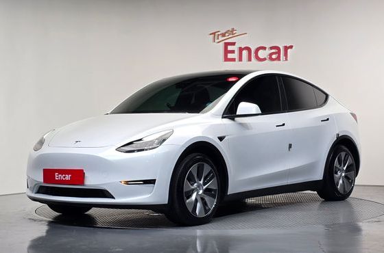 Tesla Model Y Long Range AWD — пробег 43 434 км — фото 1 из 5