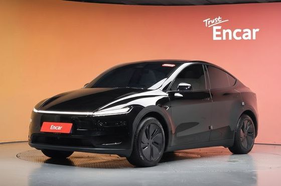 Tesla Model Y Long Range AWD — пробег 15 904 км — фото 1 из 5