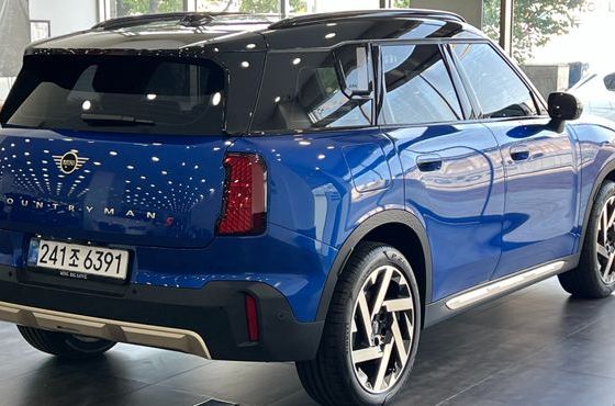 Mini Countryman ALL4 Favoured — пробег 4 050 км — фото 2 из 5