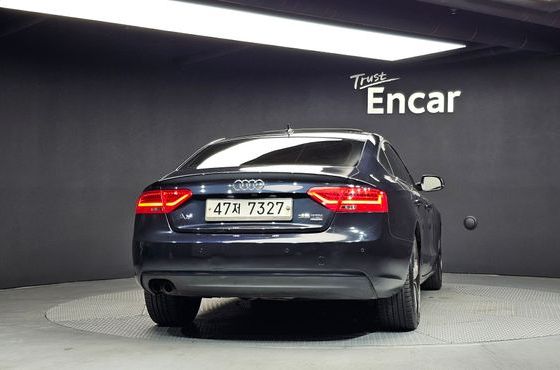 Audi A5 2.0 TDI Quattro Sportback 8TA — пробег 223 893 км — фото 4 из 5