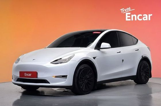Tesla Model Y Long Range AWD — пробег 86 956 км — фото 1 из 5